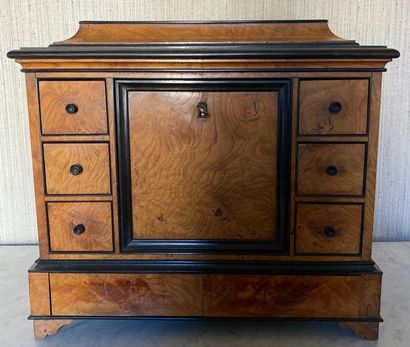 Small cabinet in burl wood veneer underlined...