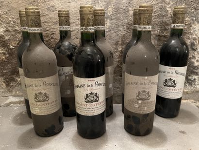 CHINON LES PICASSES. Olga Raffault. 1993....