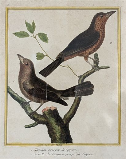 Nicolas-François MARTINET (1725-1804). 139....