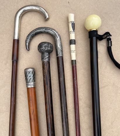 Set of canes : one with silver knob (800),...