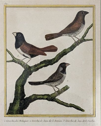 Nicolas-François MARTINET (1725-1804). 139....