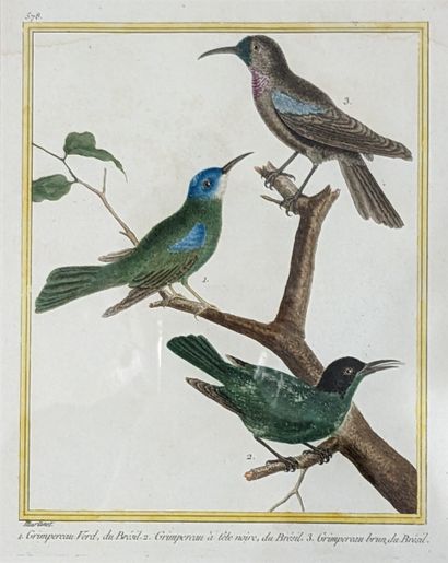 Nicolas-François MARTINET (1725-1804). 139....