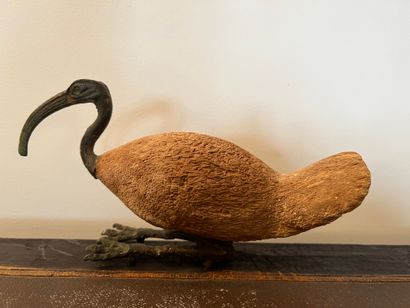 Ibis, the body in wood, the head and the...