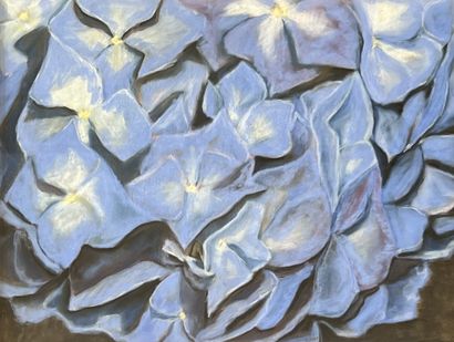 MODERN SCHOOL: BLUE HORTENSIAS. Three pastels....