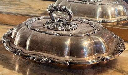 Covered vegetable dish of contoured oval...