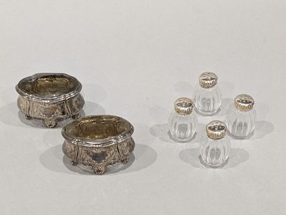 Pair of oval saltshakers, the mounts in silver...