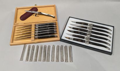 LAGUIOLE cutlery. Suite of twelve table knives,...