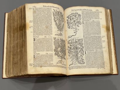 Piero Andrea MATTIOLI (1501-1578) : I discorsi...