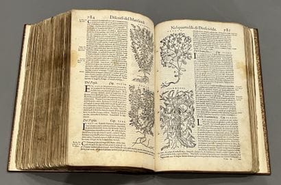 Piero Andrea MATTIOLI (1501-1578) : I discorsi...