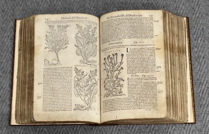 Piero Andrea MATTIOLI (1501-1578) : I discorsi...
