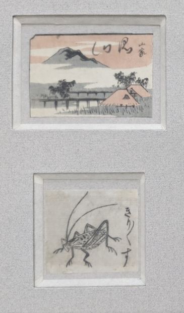 JAPON, XXe siècle : COMBAT - PAYSAGE - INSECTE...