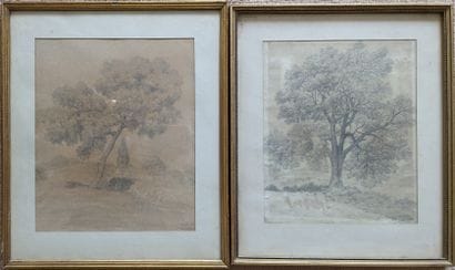 Albert BALLU (1849-?) : ARBRES. Deux mines...
