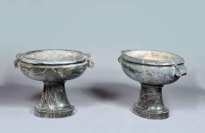 Paire de vasques sur piédouche de forme ovale...