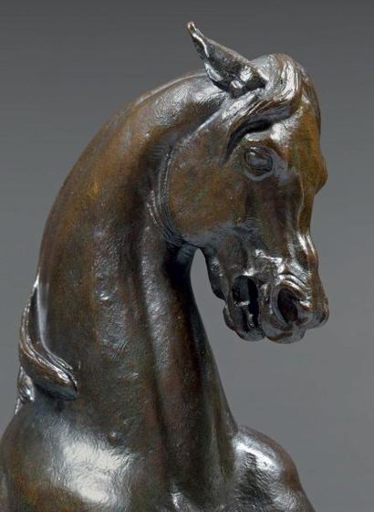 Antoine Louis BARYE (1795-1875)
CHEVAL TURC...
