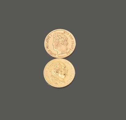 FRANCE. Deux pièces de quarante francs en...