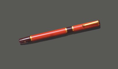 WATERMAN. Stylo à plume en résine brique...