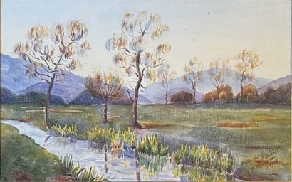A. BOURGEOIS***: BANKS OF THE SIAGNE AND...