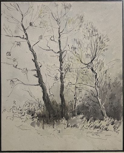 Jean GAY***: TREES. Ink and Indian ink wash,...