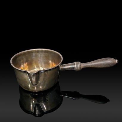 Silver (925) saucepan with rosewood side...