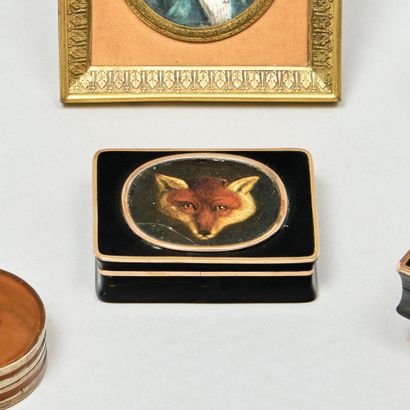 Tabatière rectangulaire en écaille, les filets...