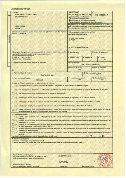 Important Christ en ivoire (elephantidae...