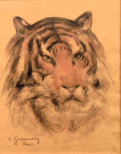 Sam GRANOVSKY (1889-1942) : TETE DE TIGRE....