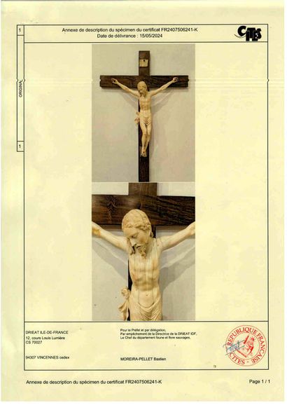 Important Christ en ivoire (elephantidae...