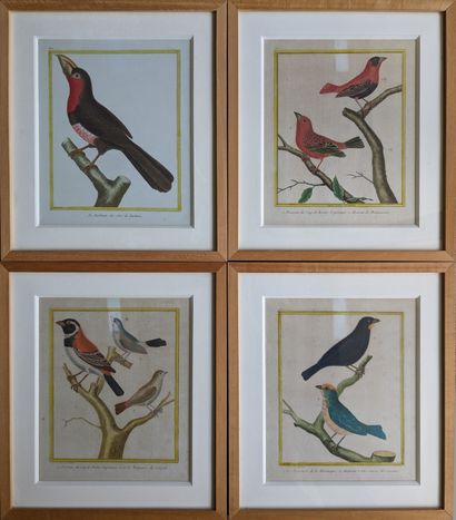 Twenty color-enhanced engraved plates of...