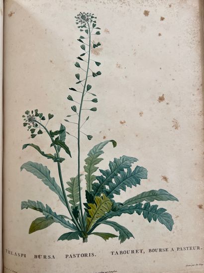 ROUSSEAU (Jean-Jacques). Recueil de plantes...