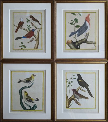 Twenty color-enhanced engraved plates of...