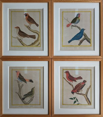 Twenty color-enhanced engraved plates of...