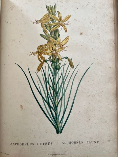 ROUSSEAU (Jean-Jacques). Recueil de plantes...