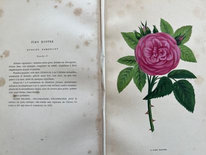 [NATURALIA] Set of books: - PREVOST (Florent)...