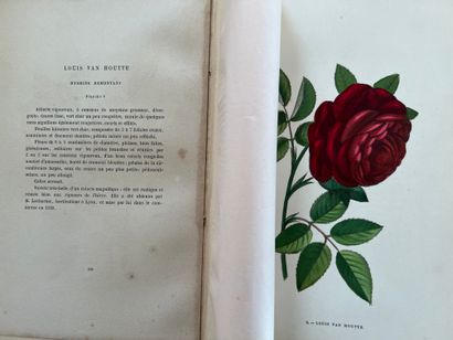 [NATURALIA] Set of books: - PREVOST (Florent)...