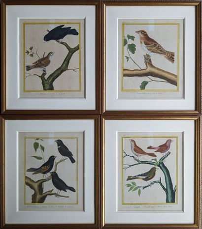 Twenty color-enhanced engraved plates of...