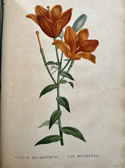 ROUSSEAU (Jean-Jacques). Recueil de plantes...