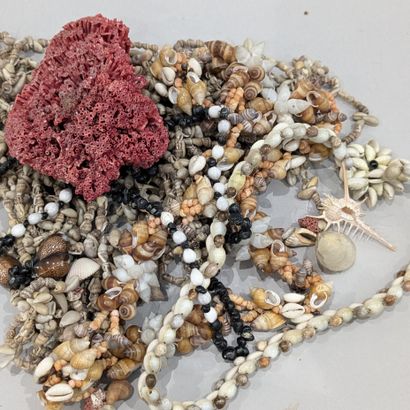 Mannette de coquillages et colliers en c...
