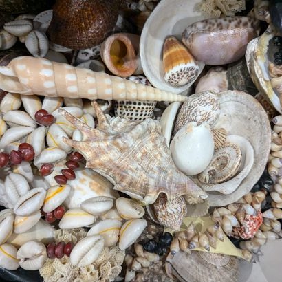 Mannette de coquillages et colliers en c...