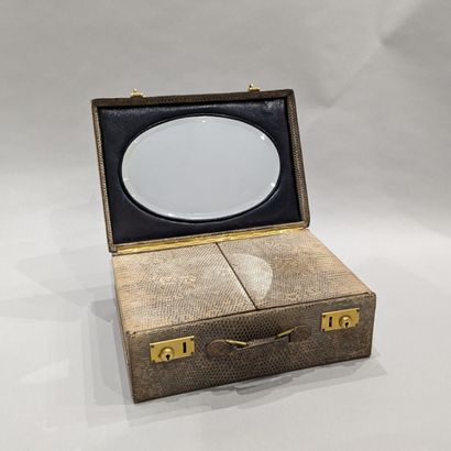 Travel case sheathed in imitation snakeskin...