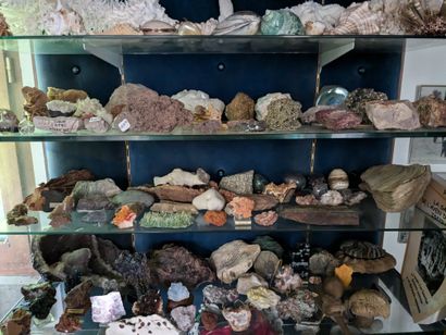 Collection of minerals, hard stones and ...