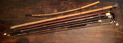 Set of canes, some with metal rings, the...