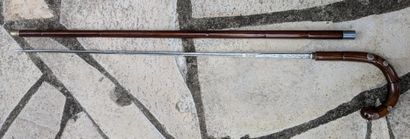 Sword cane. Varnished rushwood shaft, white...