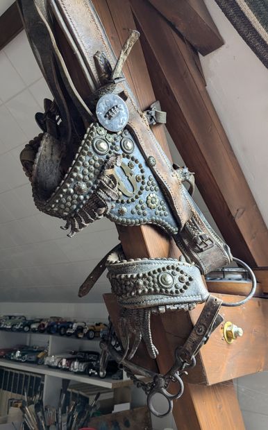 Leather halter decorated with brass flowered...