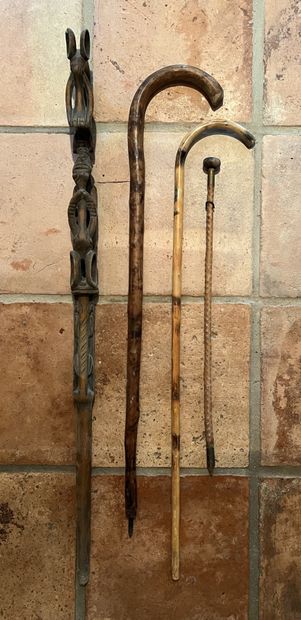 Lot of canes, some with metal handles featuring...