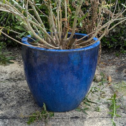 Trois grands cache-pots en terre cuite émaillée...