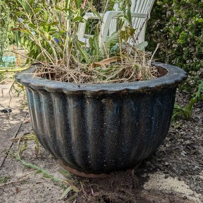 Trois grands cache-pots en terre cuite émaillée...