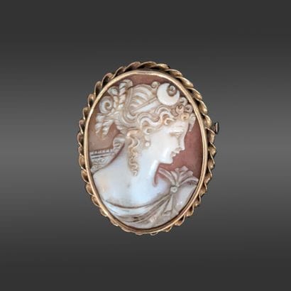 Broche en or jaune 18K (750), la monture...