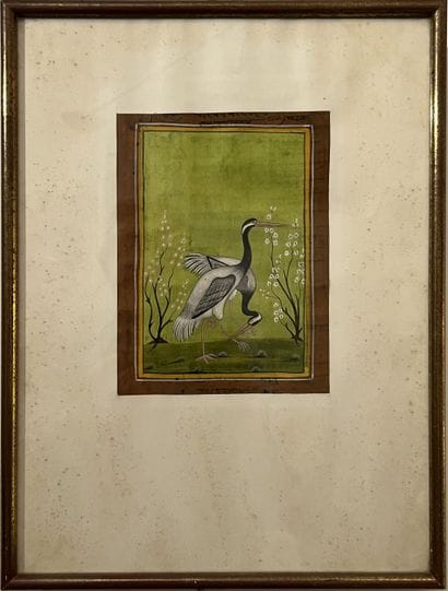 INDIAN SCHOOL: COUPLE OF HERONS ON A GREEN...