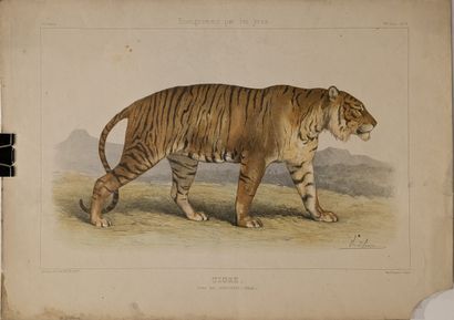Set of black lithographs, aquatints, etchings:...