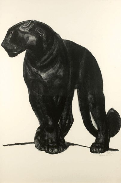 Paul JOUVE (1878-1973)
«Panthère noire de...